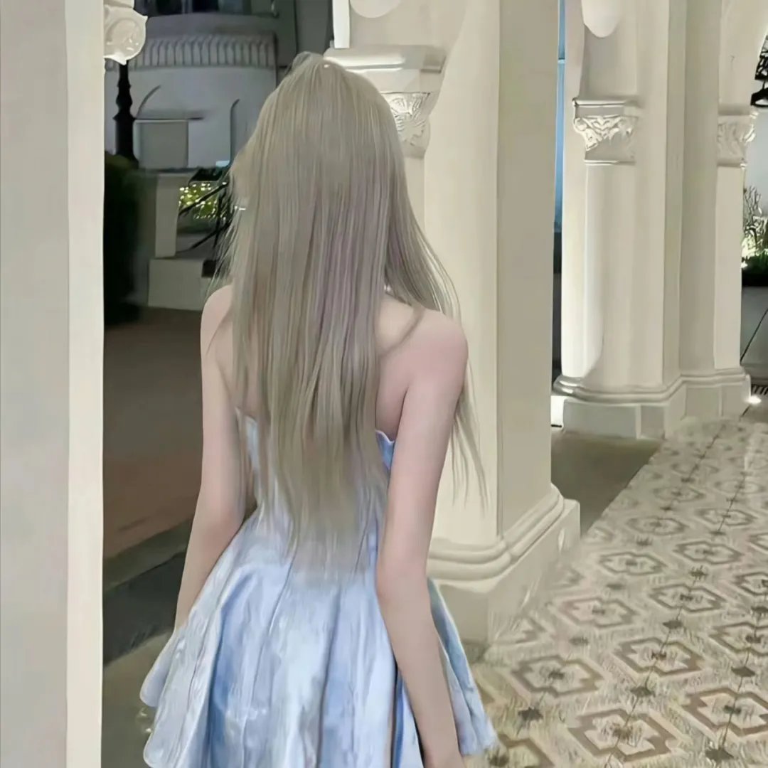 我的女官大人